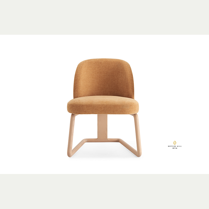 Elegant Leisure Chair